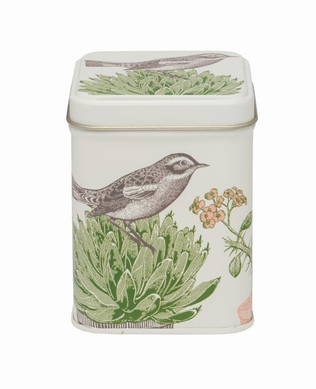 Cactus & Bird Print Small Square Tin Thornback & Peel